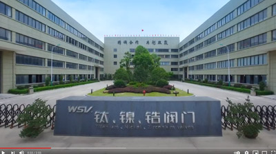 Profiel Weidouli Company